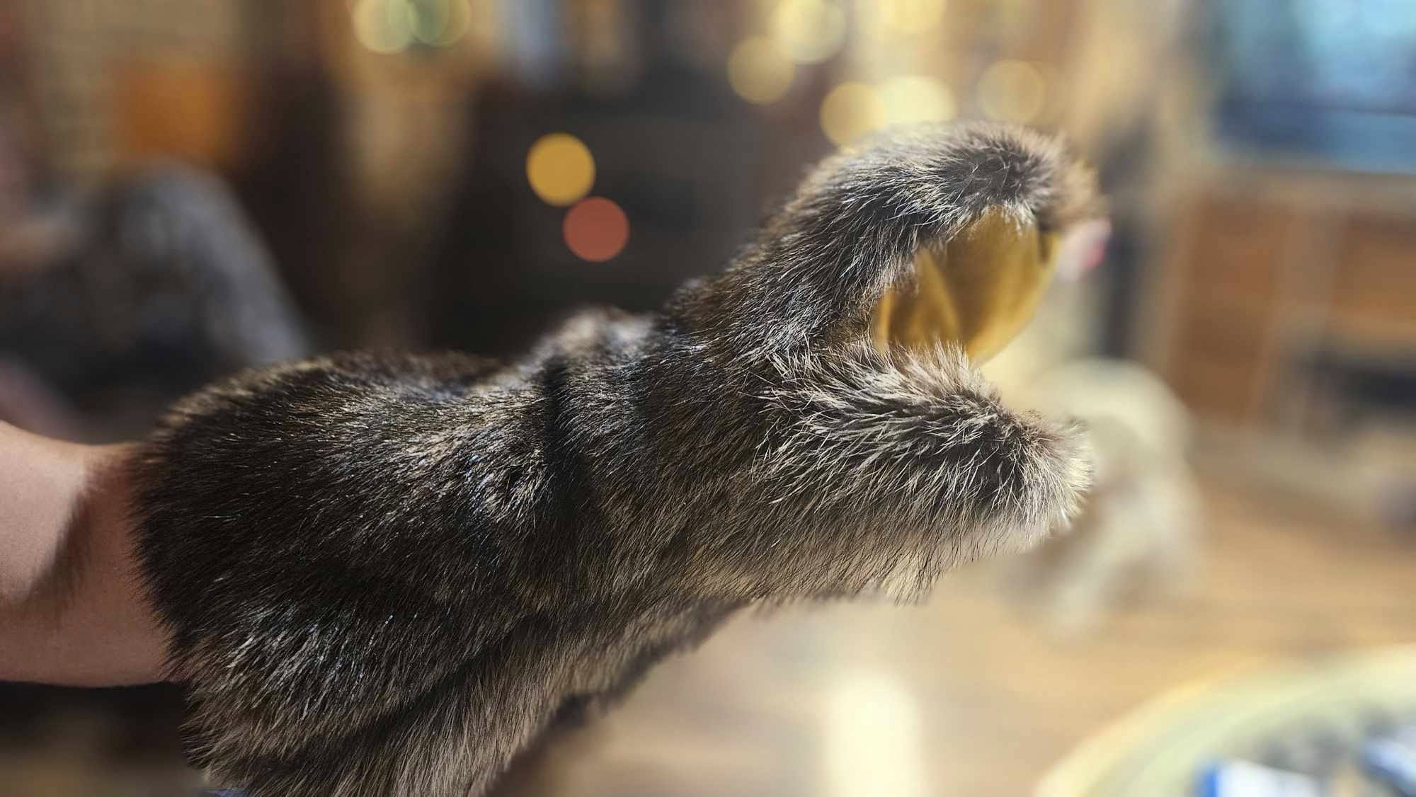 Fur-Check Custom fur gloves image 1